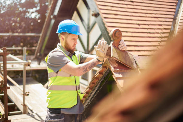 Roof Gutter Cleaning in Manti, UT